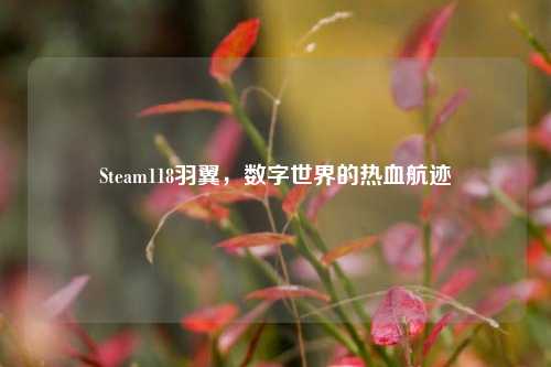 Steam118羽翼，数字世界的热血航迹