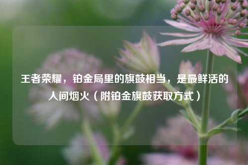 王者荣耀，铂金局里的旗鼓相当，是最鲜活的人间烟火（附铂金旗鼓获取方式）