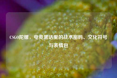 CSGO陀螺，电竞黑话里的战术密码、文化符号与表情包