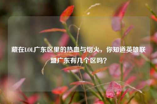 藏在LOL广东区里的热血与烟火，你知道英雄联盟广东有几个区吗？