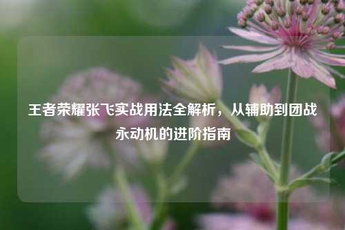 王者荣耀张飞实战用法全解析,从辅助到团战永动机的进阶指南