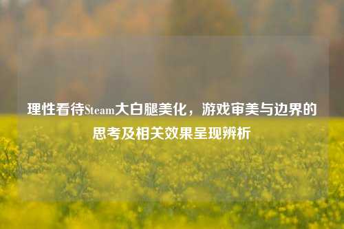 理性看待Steam大白腿美化,游戏审美与边界的思考及相关效果呈现辨析