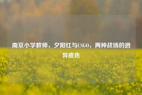 南京小学教师，夕阳红与CSGO，两种战场的迥异底色
