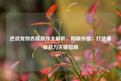 逆战宠物吞噬顺序全解析，附顺序图，打造最强战力关键指南