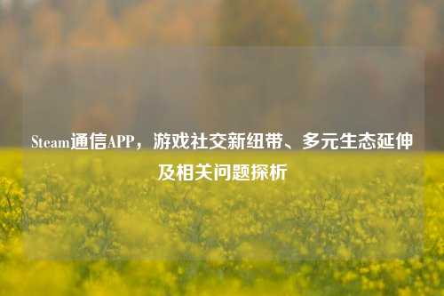 Steam通信APP,游戏社交新纽带、多元生态延伸及相关问题探析