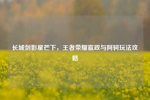 长城剑影星芒下，王者荣耀嬴政与阿轲玩法攻略