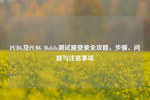 PUBG及PUBG Mobile测试服登录全攻略,步骤、问题与注意事项