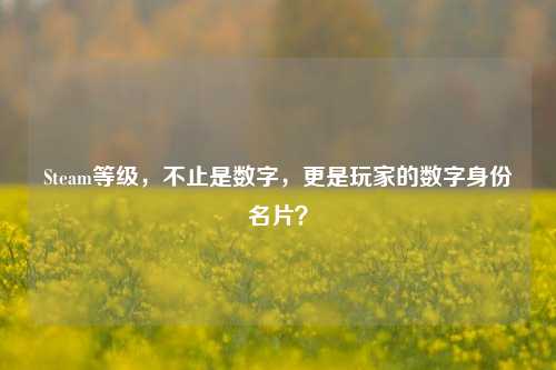 Steam等级，不止是数字，更是玩家的数字身份名片？