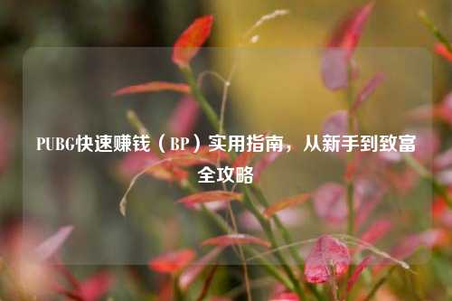 PUBG快速赚钱（BP）实用指南，从新手到致富全攻略