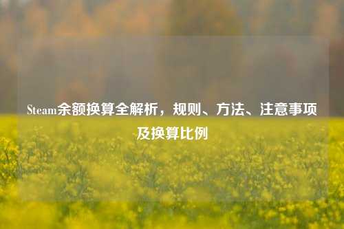 Steam余额换算全解析，规则、方法、注意事项及换算比例