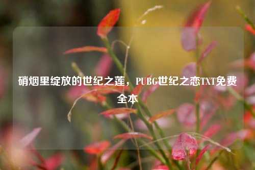 硝烟里绽放的世纪之莲，PUBG世纪之恋TXT免费全本