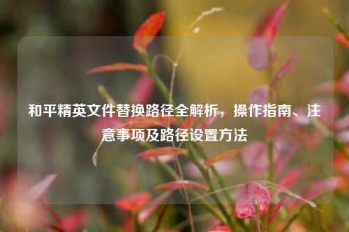 和平精英文件替换路径全解析,操作指南、注意事项及路径设置方法