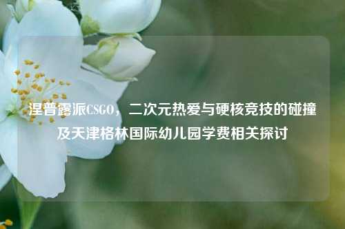 涅普露派CSGO，二次元热爱与硬核竞技的碰撞及天津格林国际幼儿园学费相关探讨