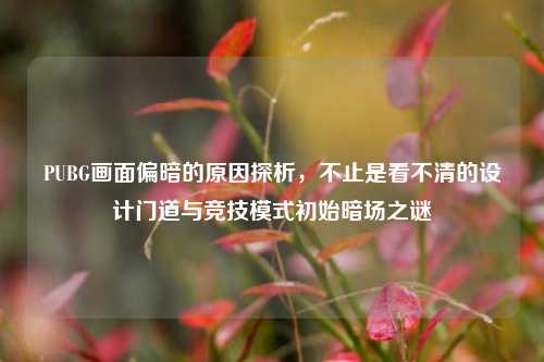 PUBG画面偏暗的原因探析，不止是看不清的设计门道与竞技模式初始暗场之谜