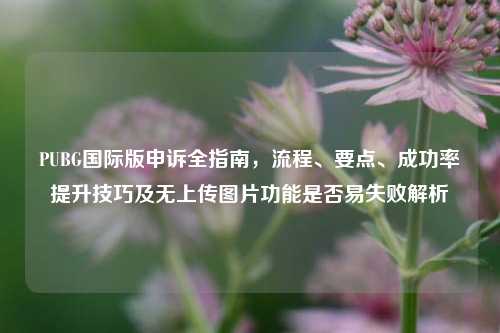 PUBG国际版申诉全指南，流程、要点、成功率提升技巧及无上传图片功能是否易失败解析