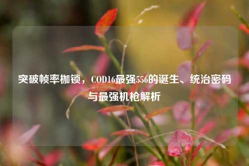 突破帧率枷锁，COD16最强556的诞生、统治密码与最强机枪解析