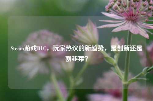 Steam游戏DLC，玩家热议的新趋势，是创新还是割韭菜？