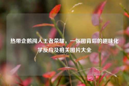 热带企鹅闯入王者荣耀，一张图背后的趣味化学反应及相关图片大全