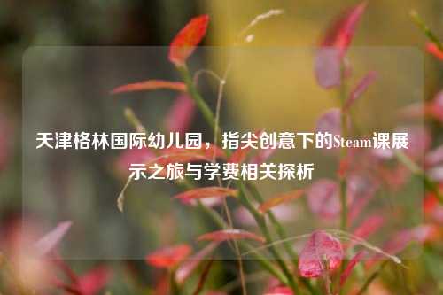 天津格林国际幼儿园,指尖创意下的Steam课展示之旅与学费相关探析