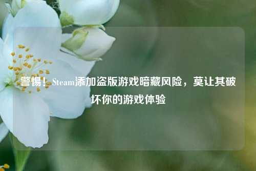 警惕！Steam添加盗版游戏暗藏风险，莫让其破坏你的游戏体验