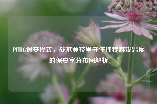 PUBG保安模式,战术竞技里守住独特游戏温度的保安室分布图解析