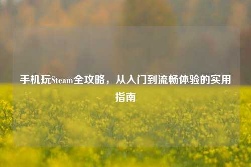 手机玩Steam全攻略，从入门到流畅体验的实用指南