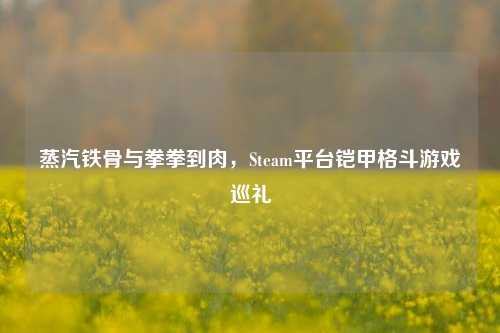 蒸汽铁骨与拳拳到肉，Steam平台铠甲格斗游戏巡礼
