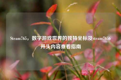 Steam765,数字游戏世界的独特坐标及steam7656开头内容查看指南