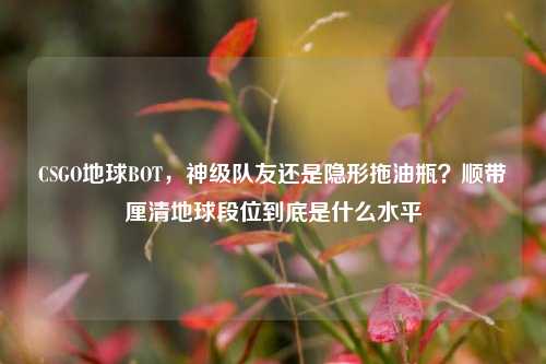 CSGO地球BOT,神级队友还是隐形拖油瓶?顺带厘清地球段位到底是什么水平