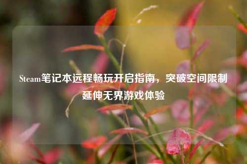 Steam笔记本远程畅玩开启指南,突破空间限制延伸无界游戏体验