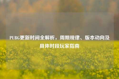 PUBG更新时间全解析，周期规律、版本动向及具体时段玩家指南