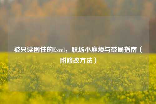 被只读困住的Excel,职场小麻烦与破局指南(附修改方法)