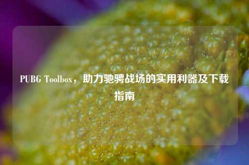 PUBG Toolbox，助力驰骋战场的实用利器及下载指南