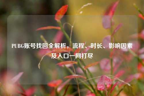 PUBG账号找回全解析，流程、时长、影响因素及入口一网打尽
