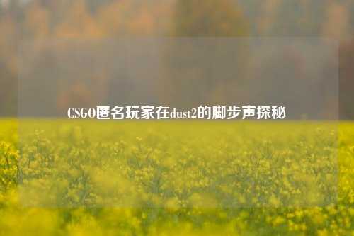 CSGO匿名玩家在dust2的脚步声探秘