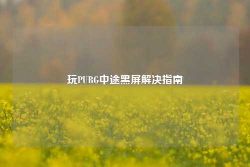 玩PUBG中途黑屏解决指南