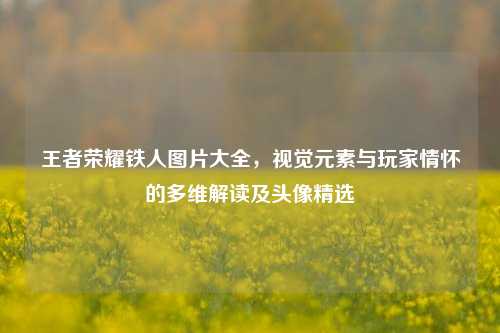 王者荣耀铁人图片大全,视觉元素与玩家情怀的多维解读及头像精选