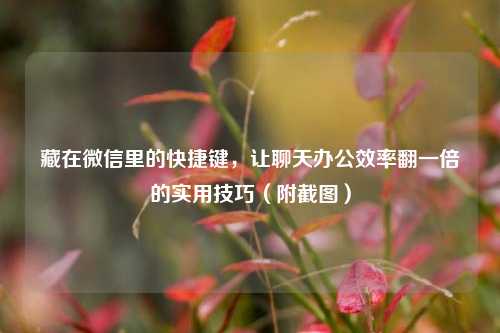 藏在微信里的快捷键,让聊天办公效率翻一倍的实用技巧(附截图)