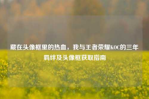 藏在头像框里的热血,我与王者荣耀KOC的三年羁绊及头像框获取指南