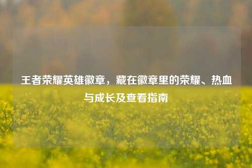 王者荣耀英雄徽章,藏在徽章里的荣耀、热血与成长及查看指南