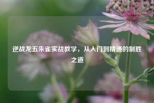 逆战龙五朱雀实战教学,从入门到精通的制胜之道