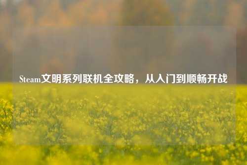 Steam文明系列联机全攻略，从入门到顺畅开战