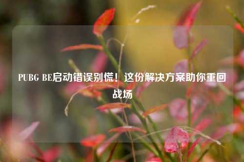 PUBG BE启动错误别慌!这份解决方案助你重回战场