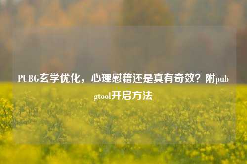 PUBG玄学优化,心理慰藉还是真有奇效?附pubgtool开启方法