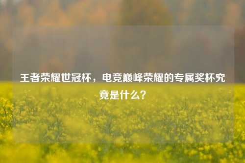 王者荣耀世冠杯，电竞巅峰荣耀的专属奖杯究竟是什么？