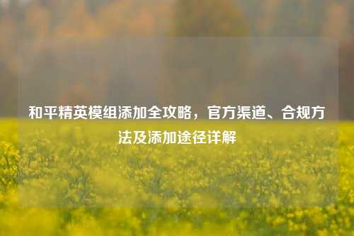 和平精英模组添加全攻略,官方渠道、合规方法及添加途径详解
