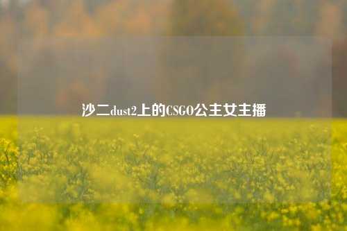 沙二dust2上的CSGO公主女主播