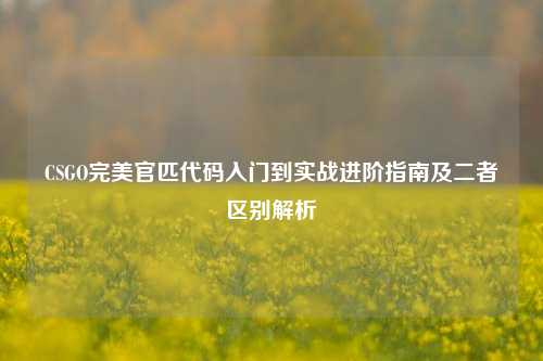 CSGO完美官匹代码入门到实战进阶指南及二者区别解析