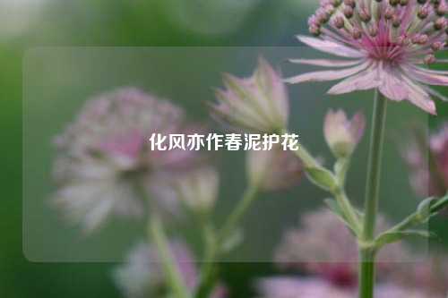 化风亦作春泥护花