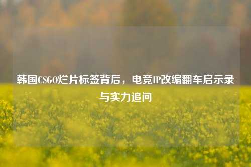 韩国CSGO烂片标签背后,电竞IP改编翻车启示录与实力追问